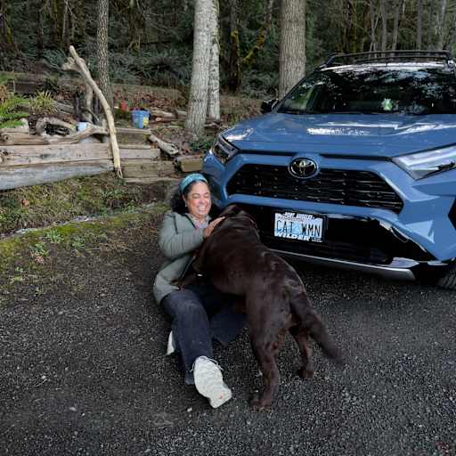 Profile image for pet sitter Lisa