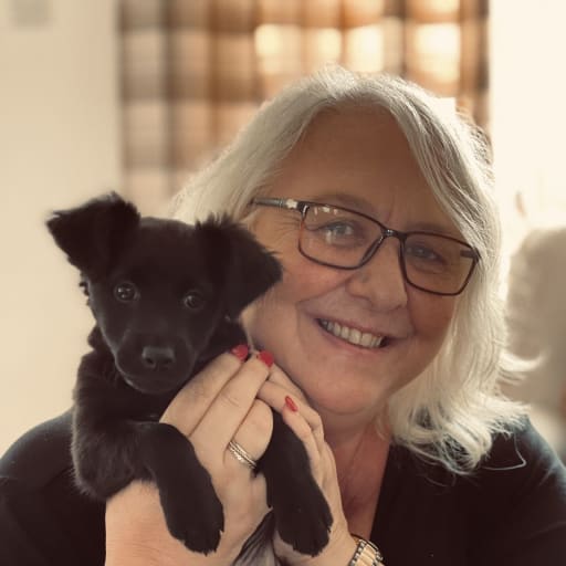 Profile image for pet sitter Toni