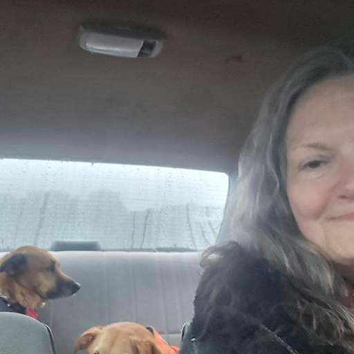 Profile image for pet sitter Susan