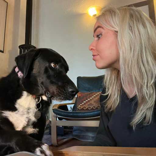 Profile image for pet sitter Sea