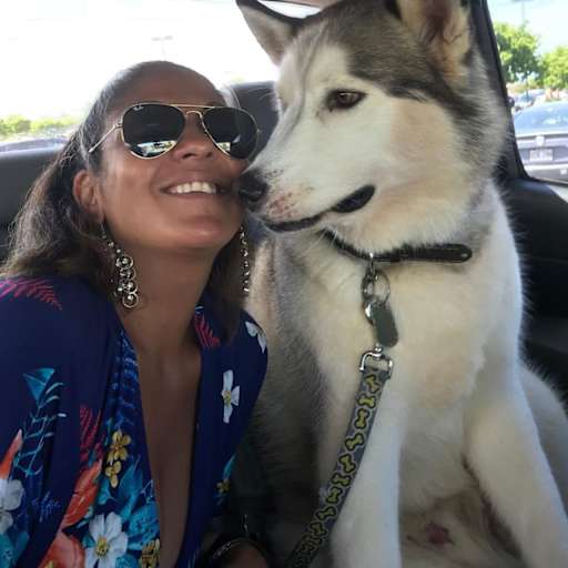 Profile image for pet sitter Rachael