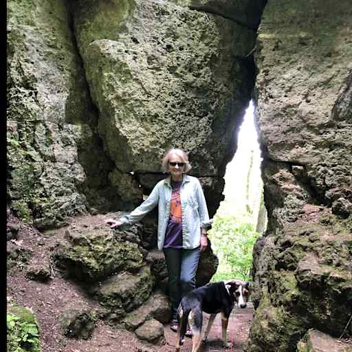 Profile image for pet sitter Monica