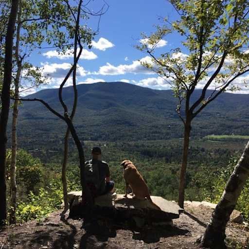 Profile image for pet sitter Nick