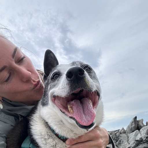 Profile image for pet sitter Toni