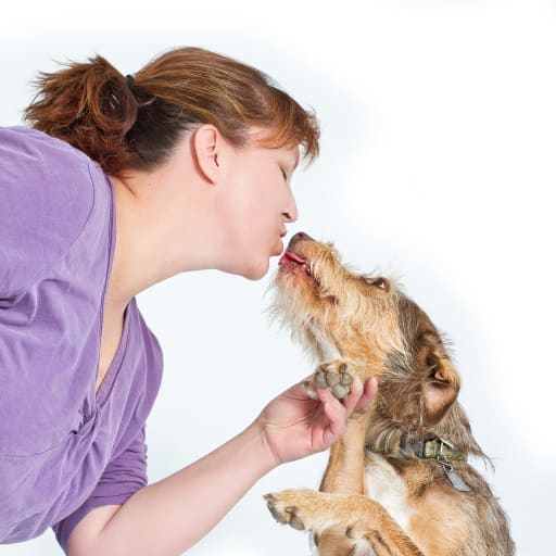 Profile image for pet sitter Kristin