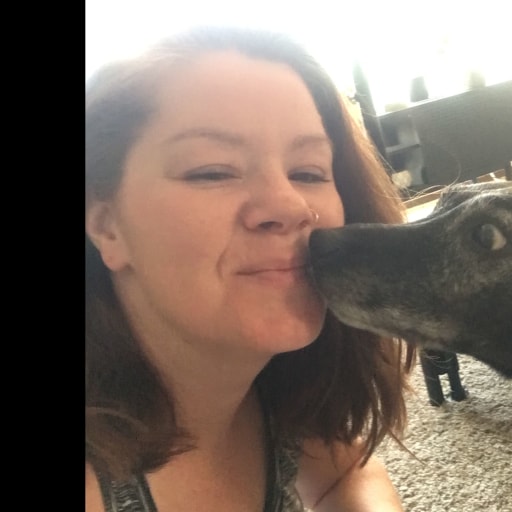 Profile image for pet sitter Trish