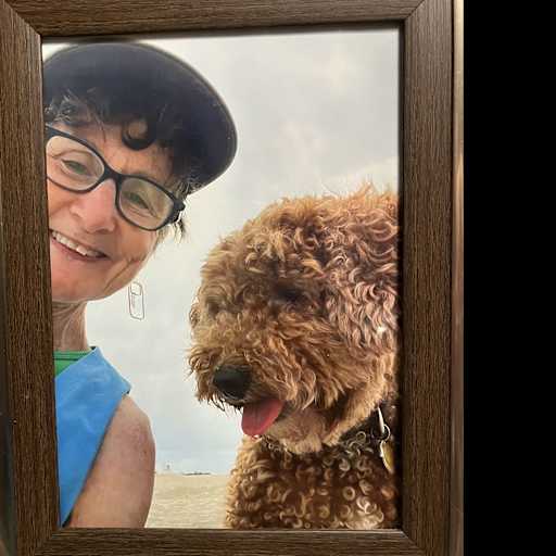 Profile image for pet sitter Shelby