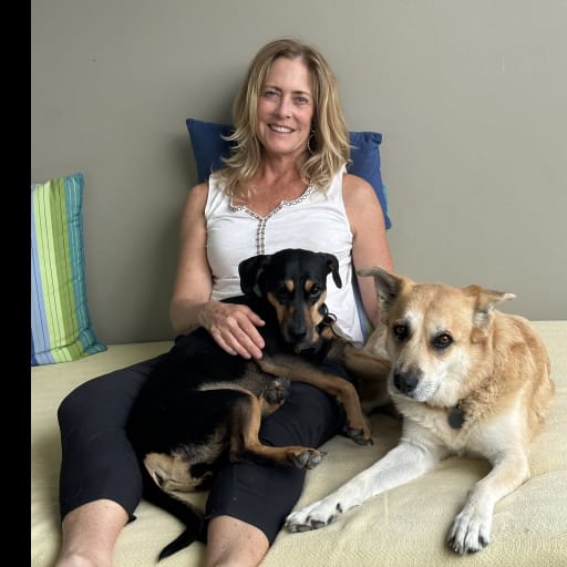 Profile image for pet sitter Sondra