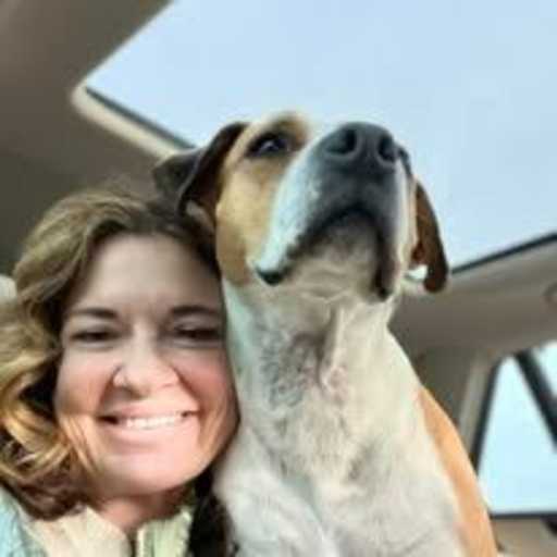 Profile image for pet sitters Katie & Derek