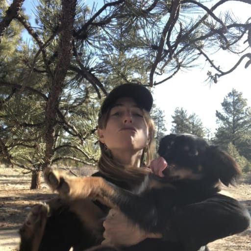 Profile image for pet sitter Jeannette