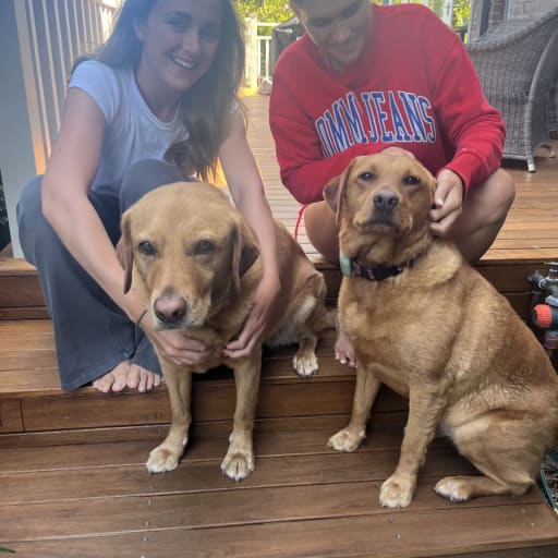 Profile image for pet sitters Ellie & Macey