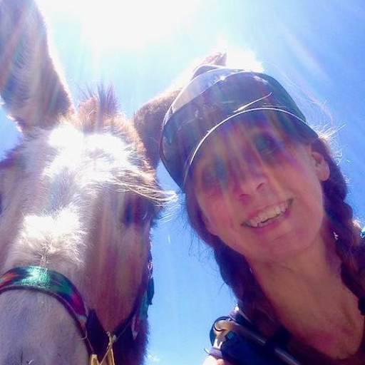 Profile image for pet sitter Debra