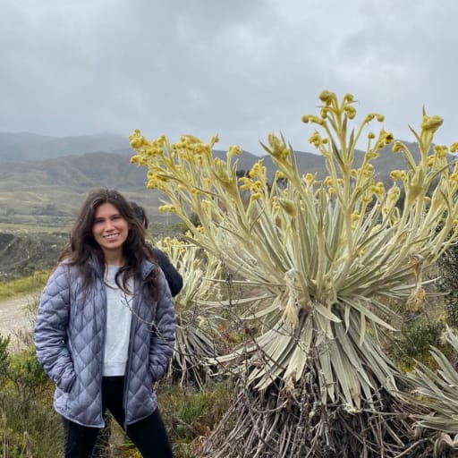 Profile image for pet sitter Juliana