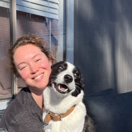 Profile image for pet sitter Maddison