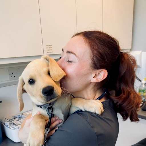 Profile image for pet sitter Dr Rhiannon