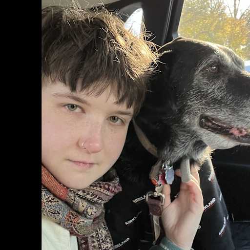 Profile image for pet sitter Julian
