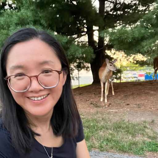 Profile image for pet sitter Hai