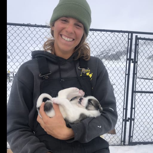 Profile image for pet sitter Jillian