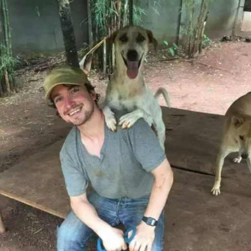 Profile image for pet sitter Robbie