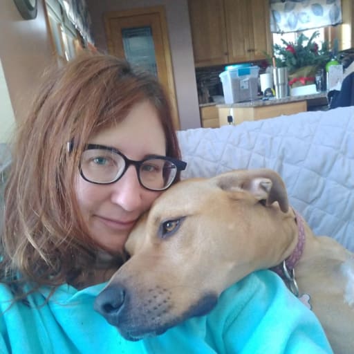 Profile image for pet sitter Jennifer