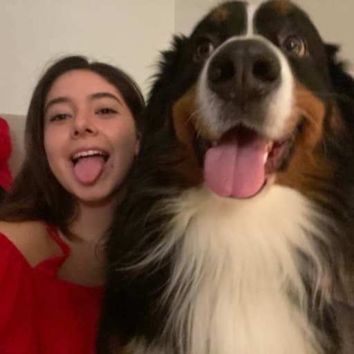 Profile image for pet sitter Sofia