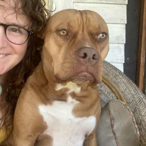 Profile image for pet sitter Erin