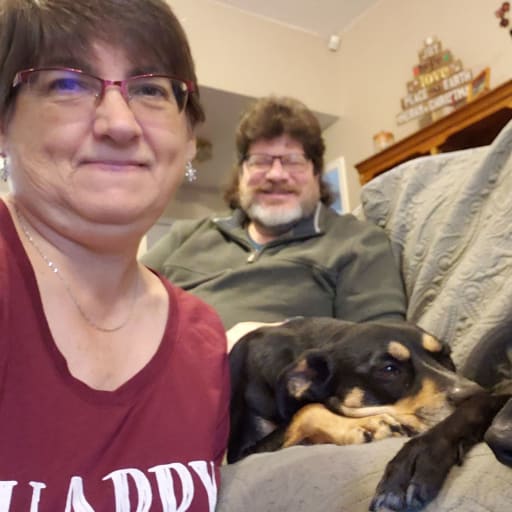 Profile image for pet sitters Lisa & Timothy
