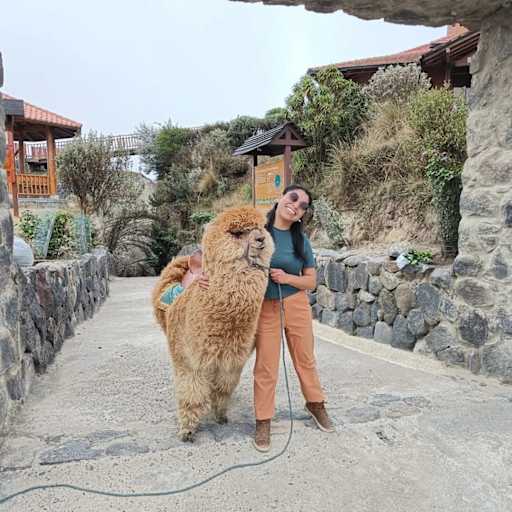 Profile image for pet sitter Marlene
