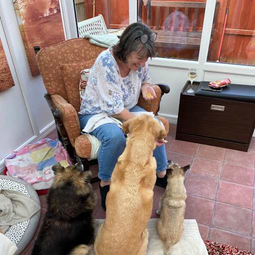 Profile image for pet sitter Jacquie
