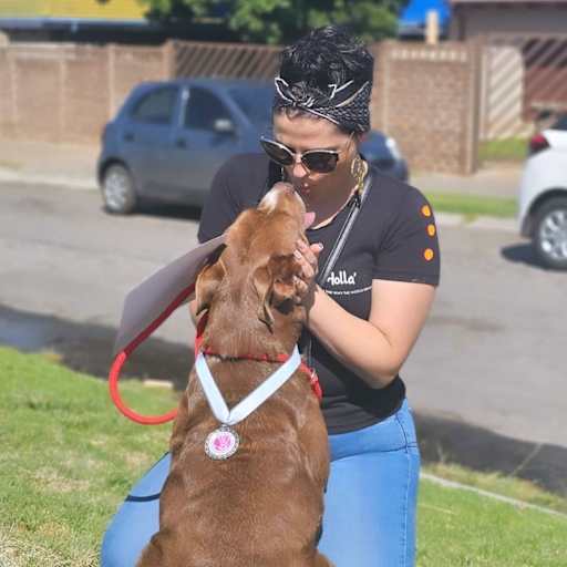 Profile image for pet sitter Sarah