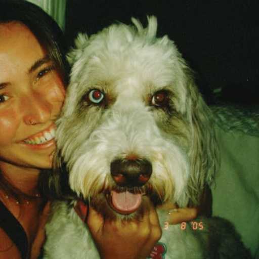 Profile image for pet sitter gracie
