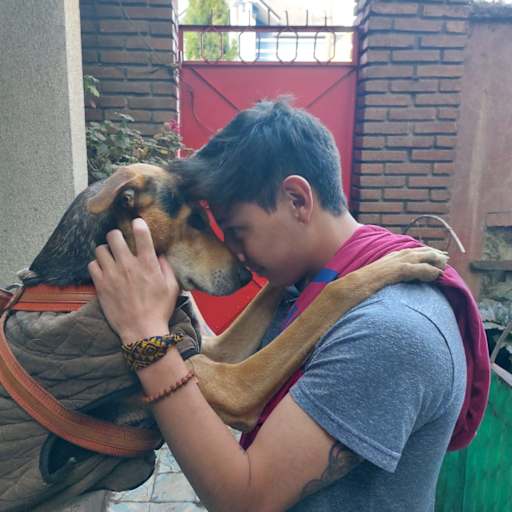 Profile image for pet sitter Gabriel
