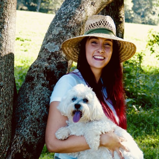 Profile image for pet sitter Jessica