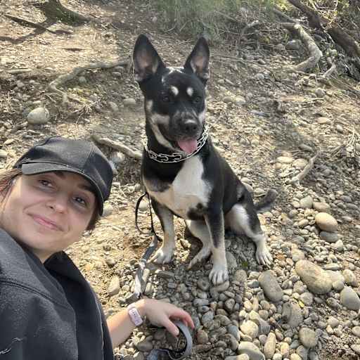 Profile image for pet sitter martha