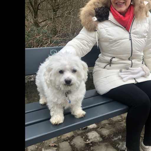 Profile image for pet sitter Maryna