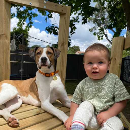 Profile image for pet sitters Morgan & Shawn