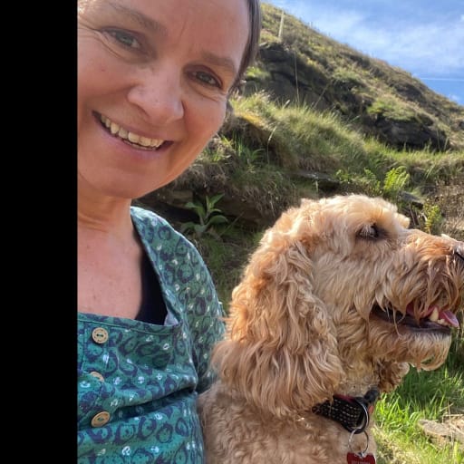 Profile image for pet sitter Debbie