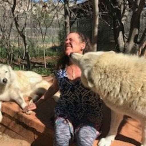 Profile image for pet sitters Grace & David