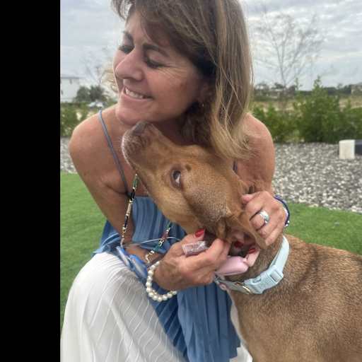 Profile image for pet sitter Maria