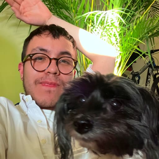 Profile image for pet sitter Juan