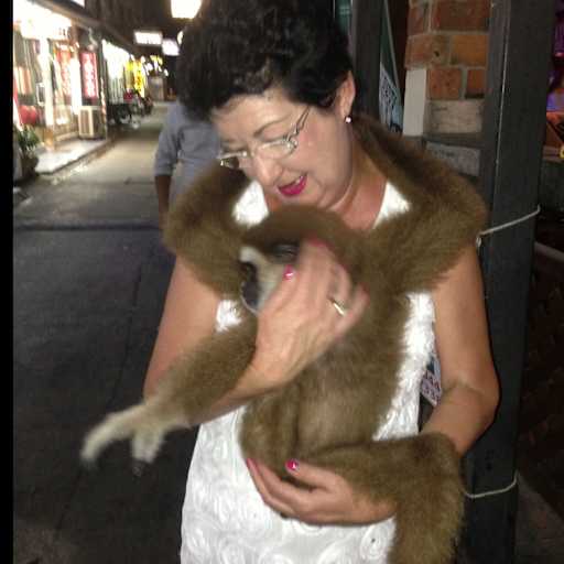 Profile image for pet sitters Vicki & Max & Max