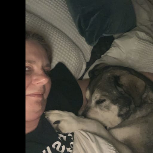 Dog sitter sale middleton