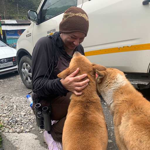 Profile image for pet sitters Amanda & Michael