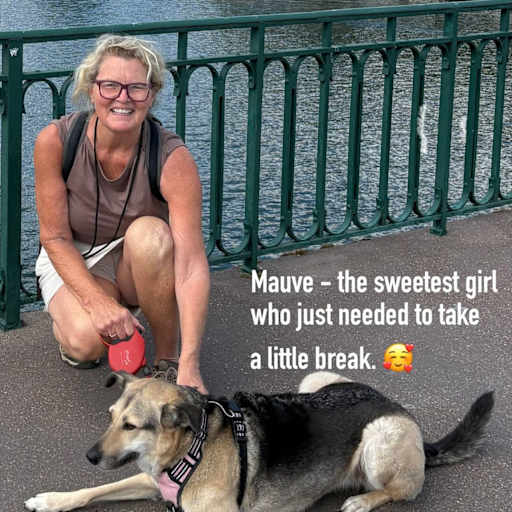 Profile image for pet sitter Cathy