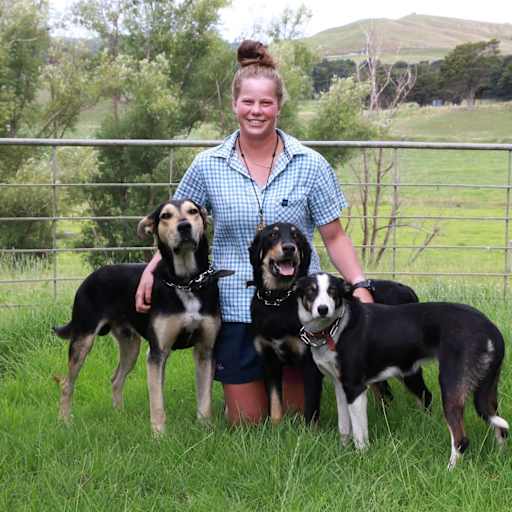 Profile image for pet sitter Hannah