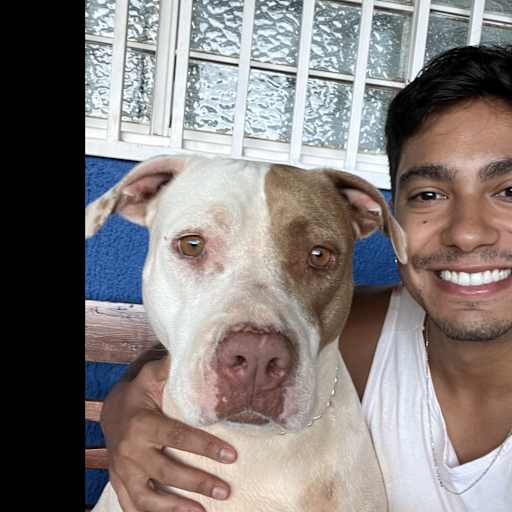 Profile image for pet sitter Julio