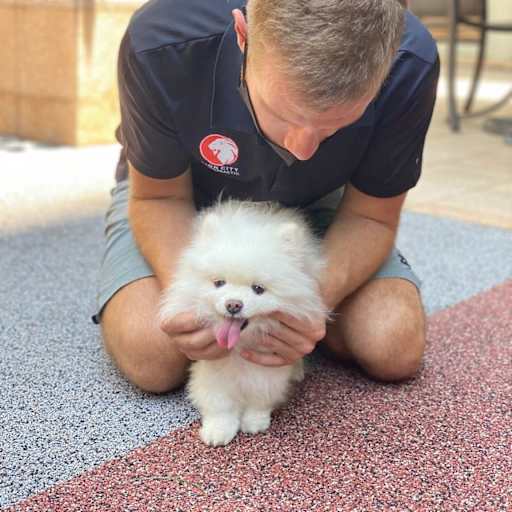 Profile image for pet sitters Ryan & Erin