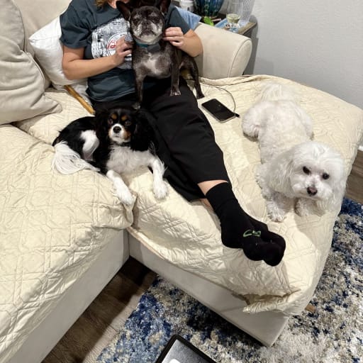 Profile image for pet sitter Heather
