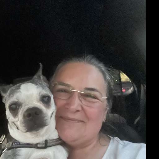 Profile image for pet sitter Kim