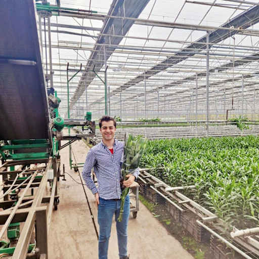 Profile image for pet sitter William